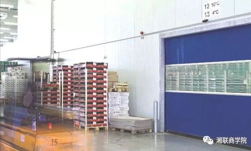 工业门产品解析 快速门与智能工业门的特性与应用